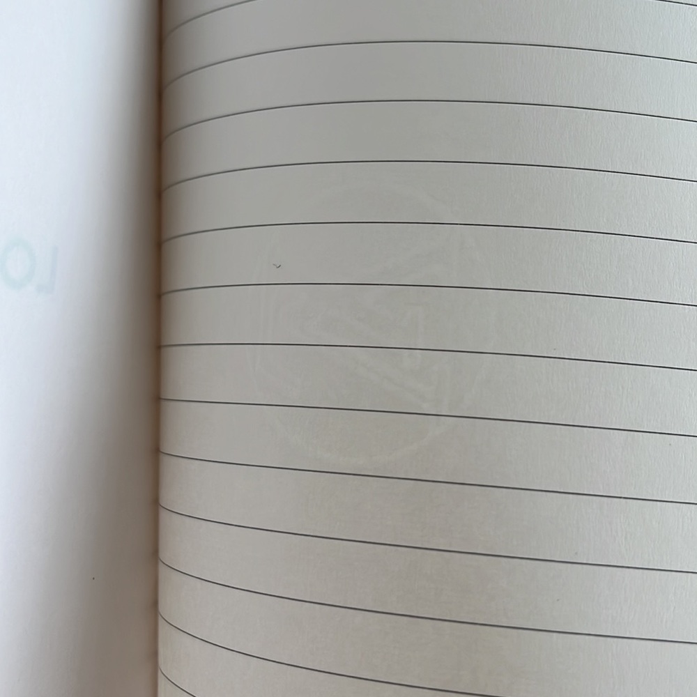Louis Vuitton Big Wheel Vivienne Clemence notebook - Picture 11 of 15